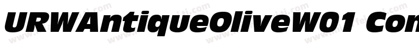 URWAntiqueOliveW01 CompctIt Regular字体转换